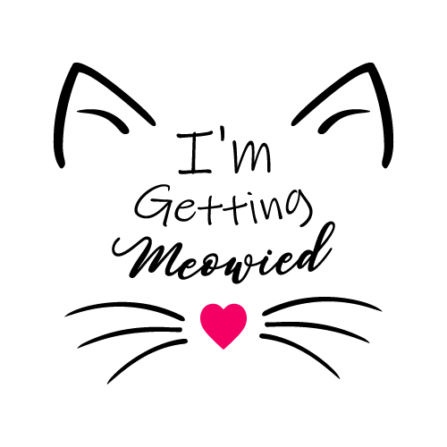 Cat 49 — Cat cut file SVG cut file