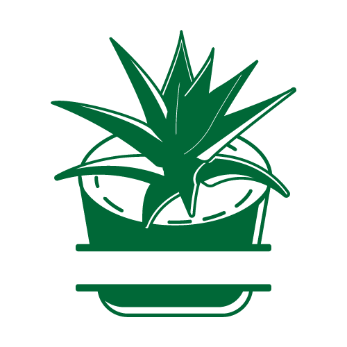 Cactus 31 — Cactus monogram SVG cut file