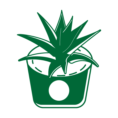 Cactus 44 — Cactus monogram SVG cut file