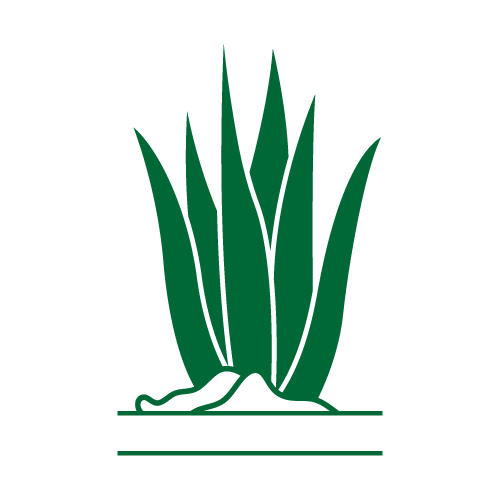 Cactus 49 — Cactus monogram SVG cut file