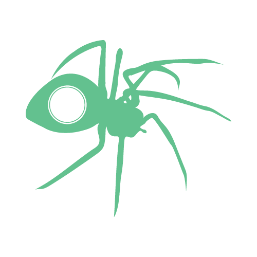 Spider 17 — Spider monogram SVG cut file