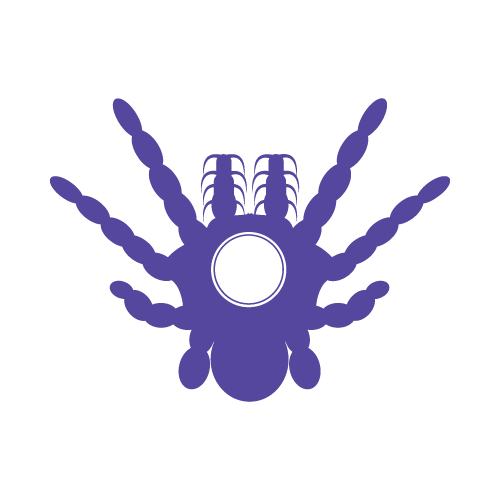 Spider 21 — Spider monogram SVG cut file