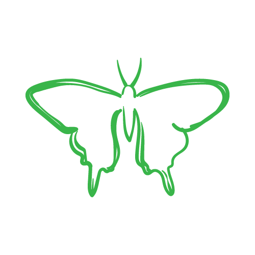 Butterfly 21 — Butterfly shape SVG cut file