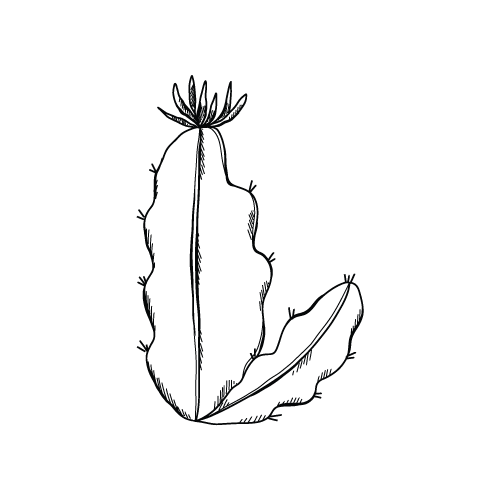 Cactus 21 — Cactus shape SVG cut file