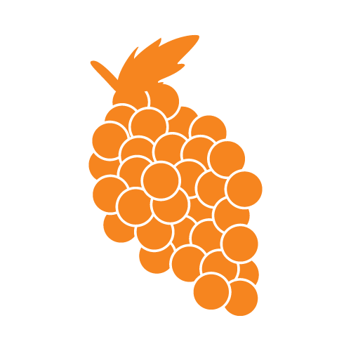 Fruit shapes SVG designs — 25 cut files