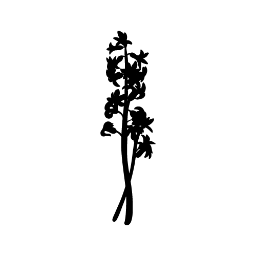 Plants 26 — Plants shape SVG cut file