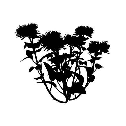 Plants 32 — Plants shape SVG cut file