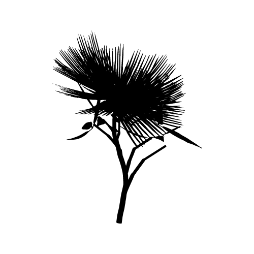 Plants 33 — Plants shape SVG cut file