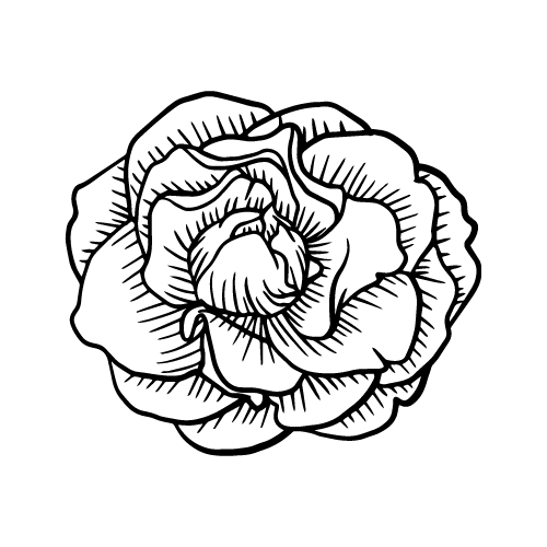 Plants 48 — Plants shape SVG cut file