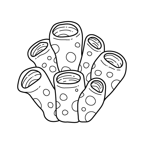 Sea 19 — Sea shape SVG cut file