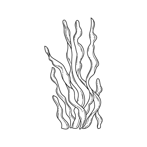 Sea 21 — Sea shape SVG cut file