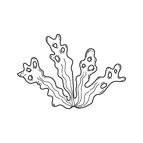 Sea 22 — Sea shape SVG cut file