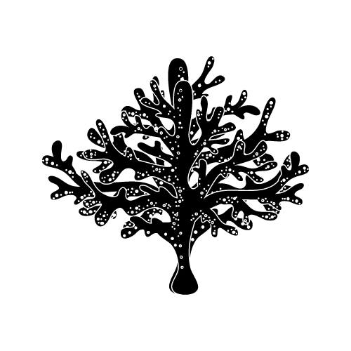 Sea 27 — Sea shape SVG cut file