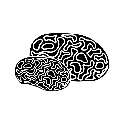 Sea 28 — Sea shape SVG cut file