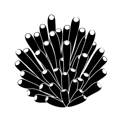 Sea 29 — Sea shape SVG cut file