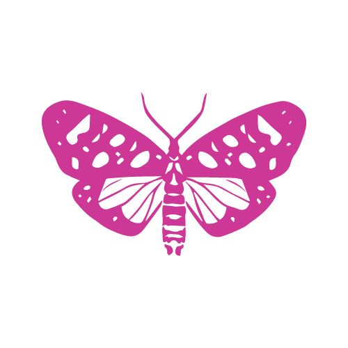 Spider shapes SVG designs — 25 cut files