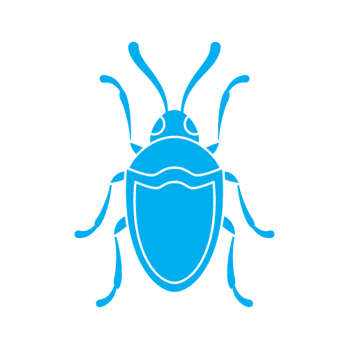 Spider 02 — Spider shape SVG cut file