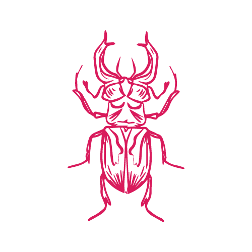 Spider 22 — Spider shape SVG cut file