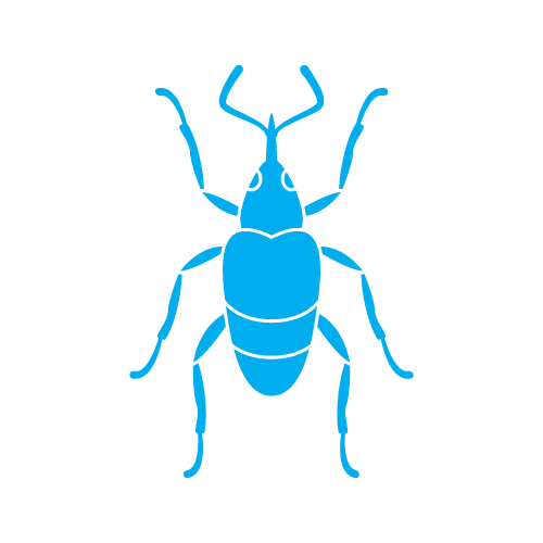 Spider 25 — Spider shape SVG cut file