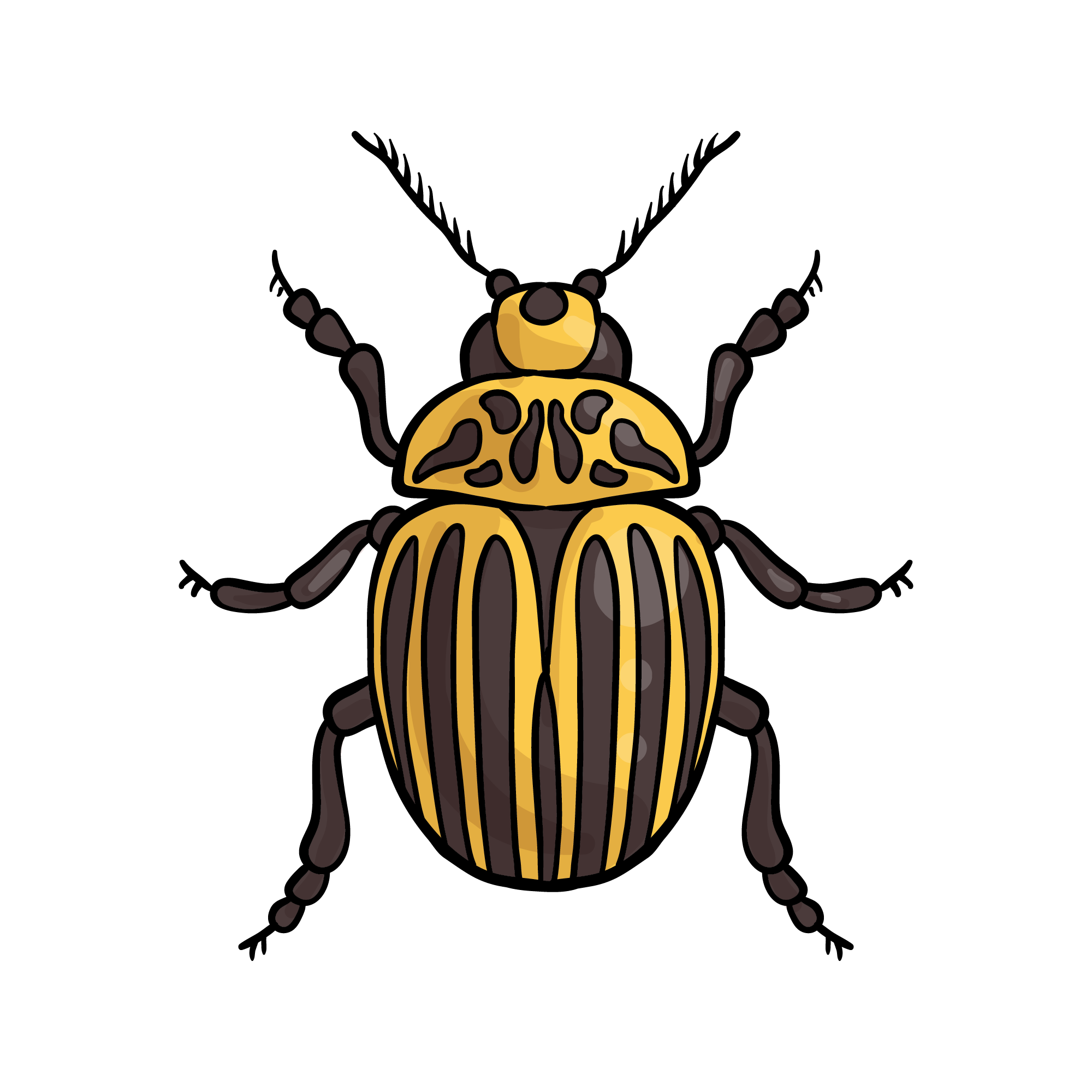 Spider 46 — Spider sticker SVG cut file