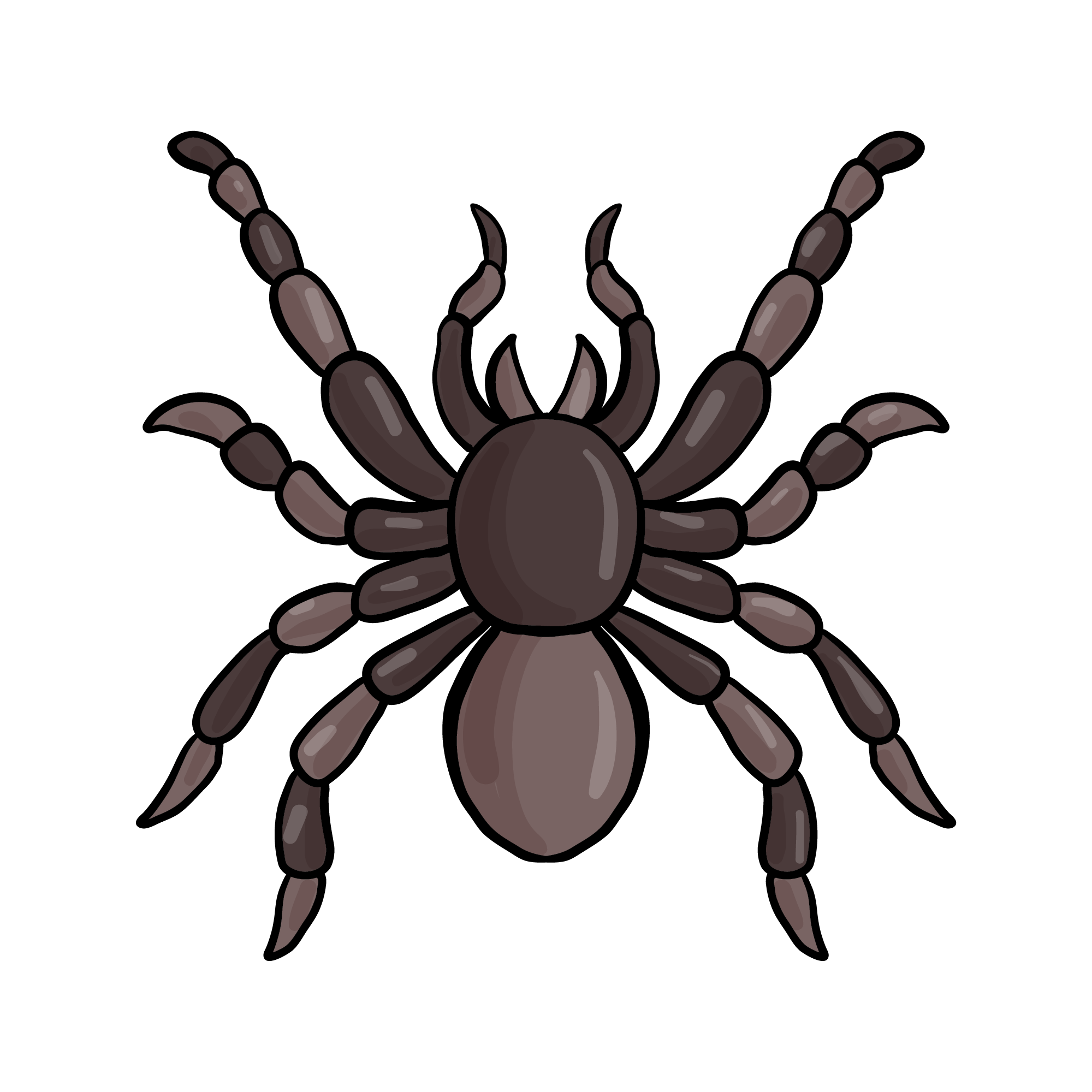 Spider 47 — Spider sticker SVG cut file
