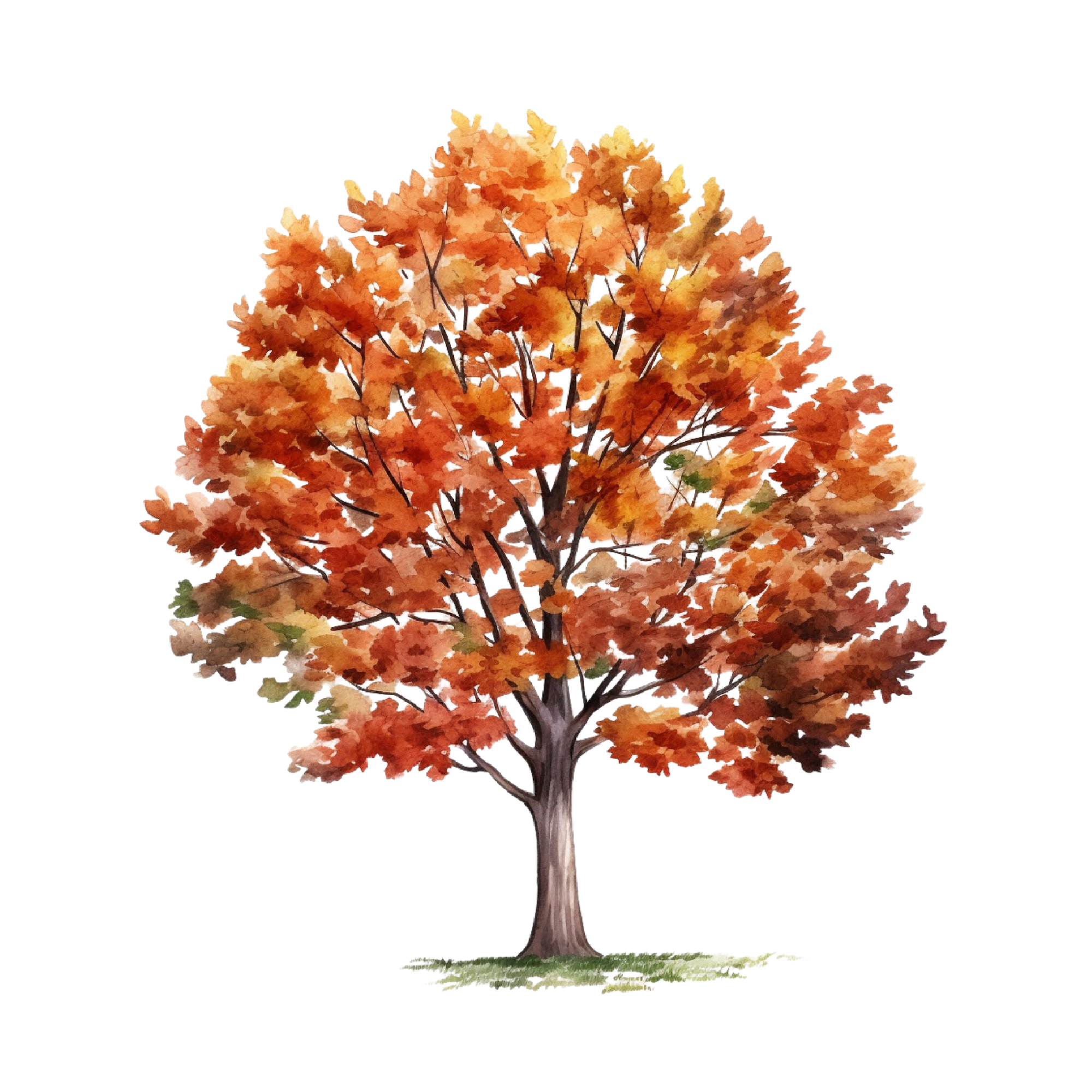 Autumn 31 — Autumn watercolour SVG cut file