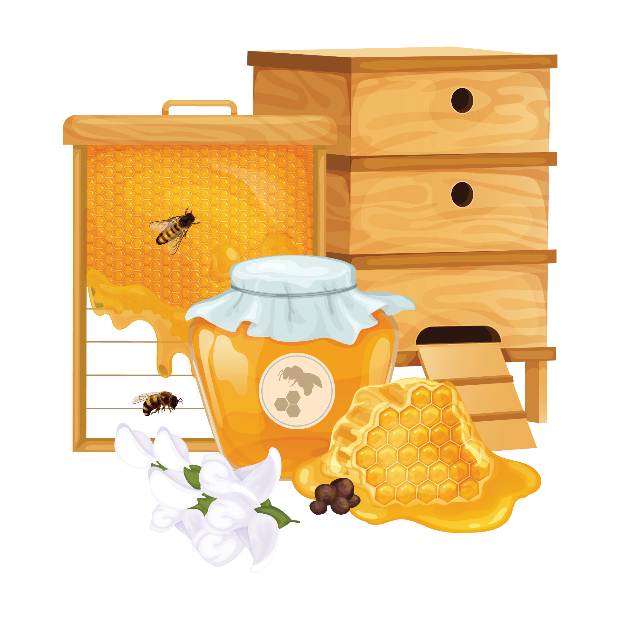 Bee watercolour design