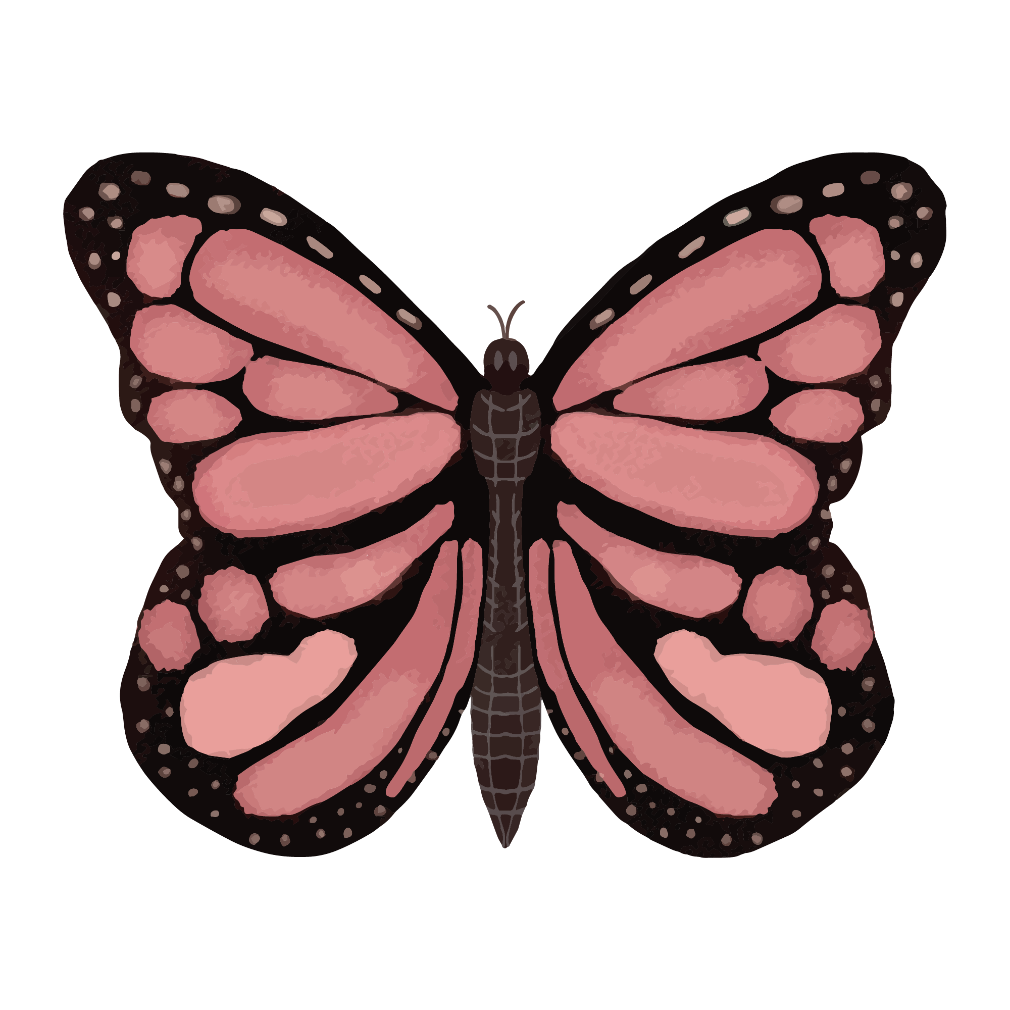 Butterfly 02 — Butterfly watercolour SVG cut file