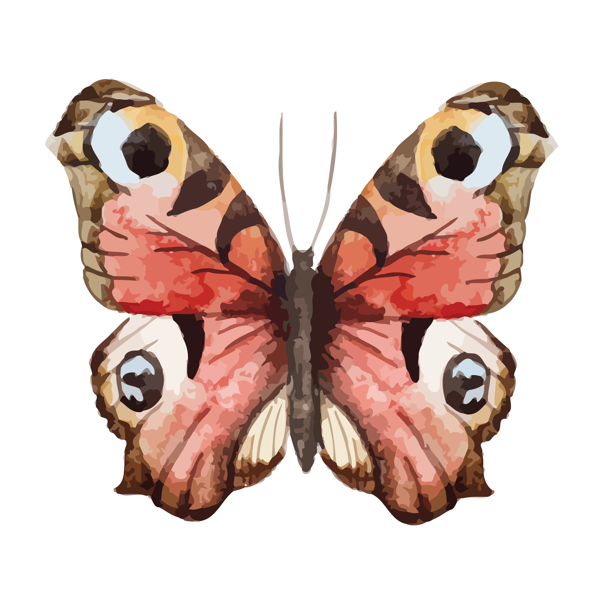 Butterfly 19 — Butterfly watercolour SVG cut file