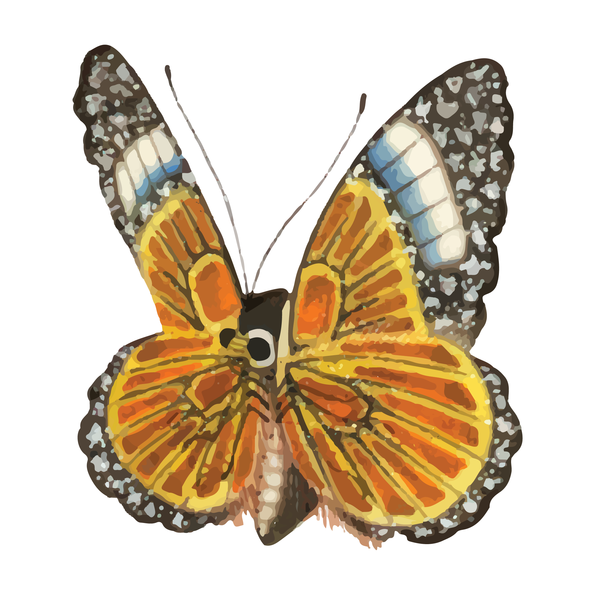 Butterfly 20 — Butterfly watercolour SVG cut file