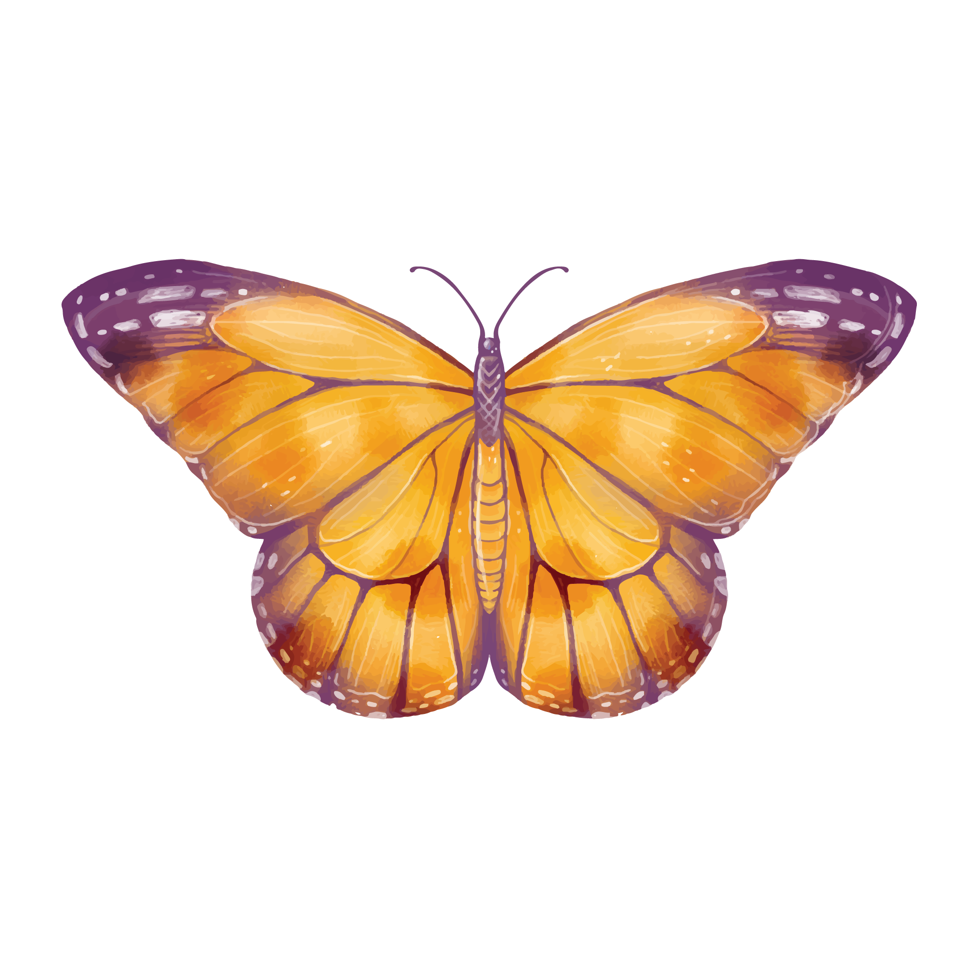 Butterfly 23 — Butterfly watercolour SVG cut file