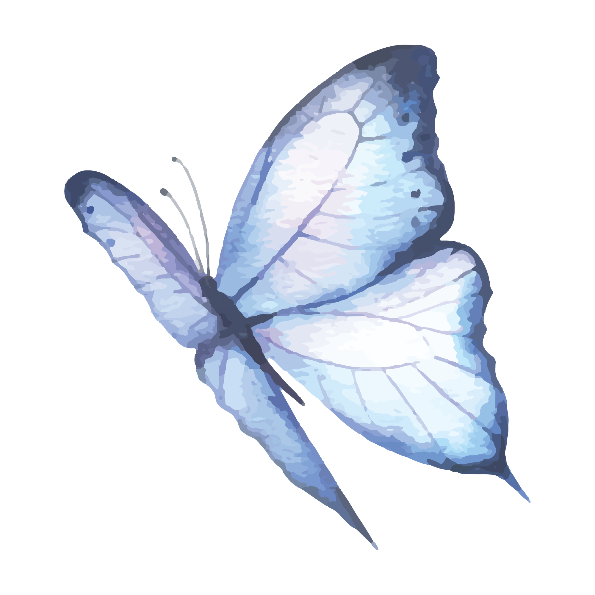 Butterfly 24 — Butterfly watercolour SVG cut file