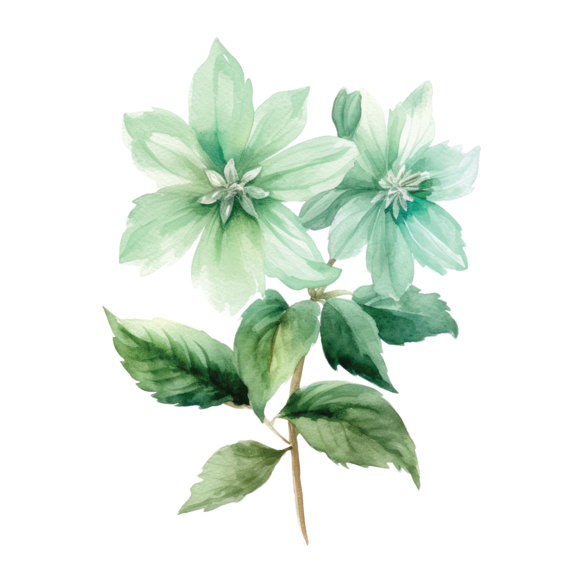 Flowers 24 — Flowers watercolour SVG cut file