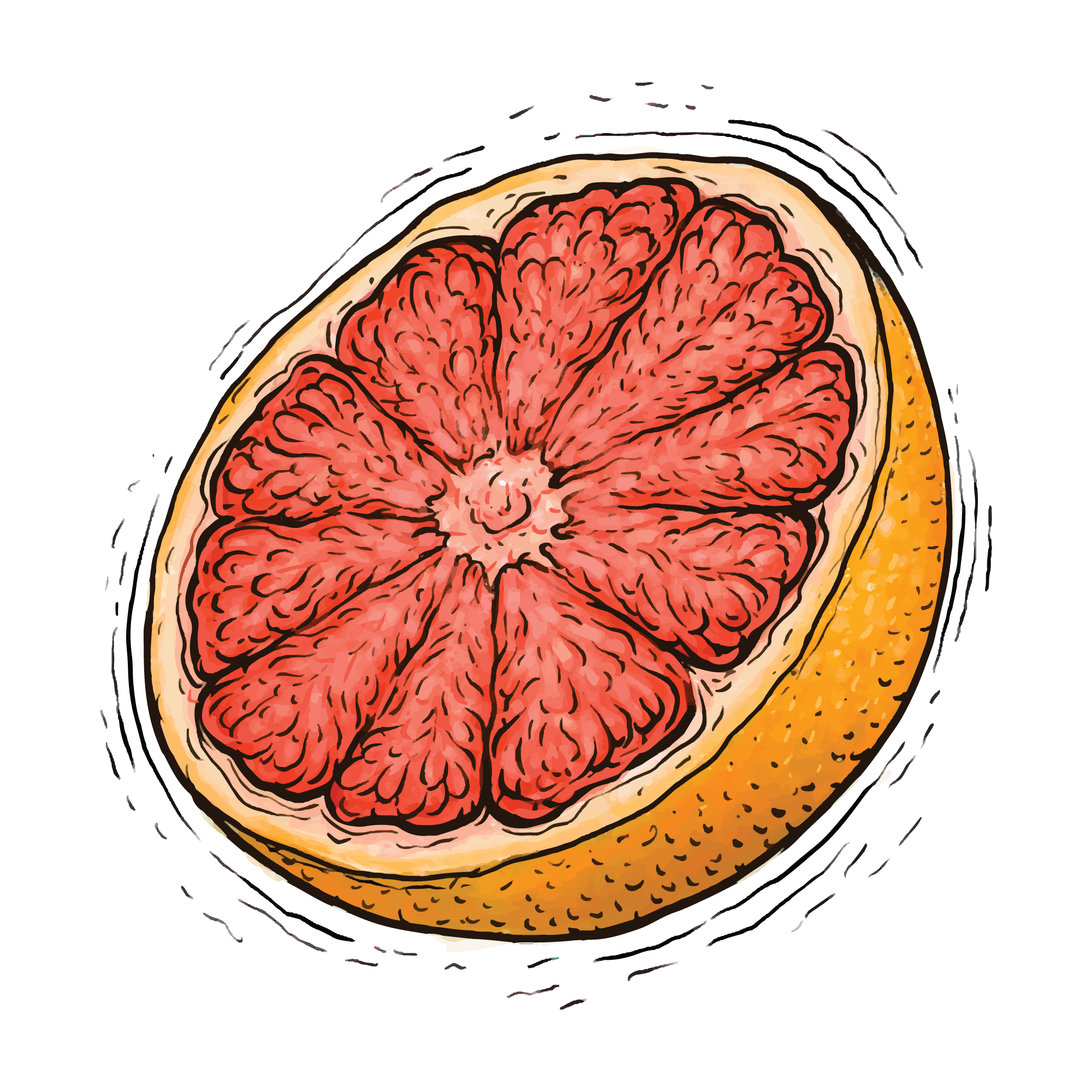 Fruit 17 — Fruit watercolour SVG cut file