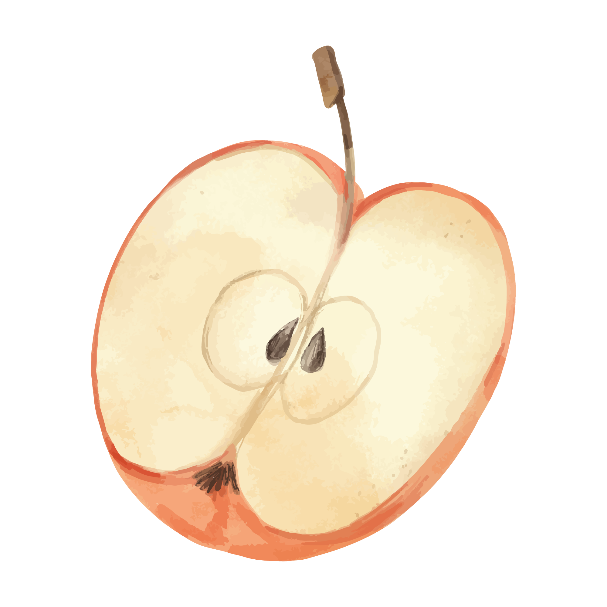 Fruit 18 — Fruit watercolour SVG cut file