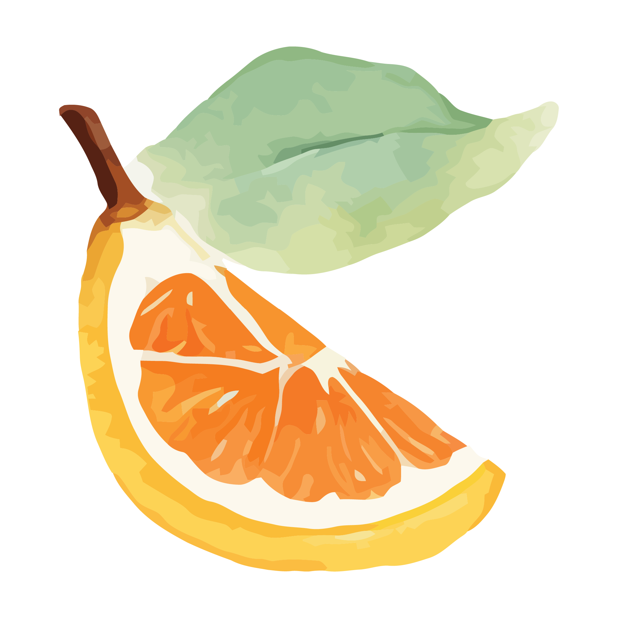 Fruit 23 — Fruit watercolour SVG cut file