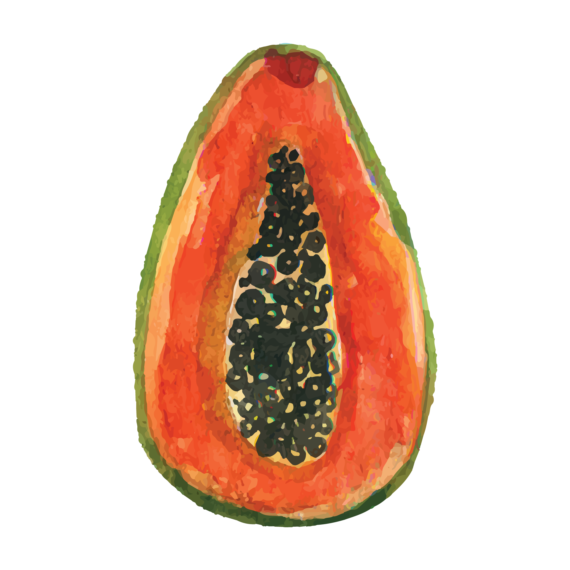 Fruit 24 — Fruit watercolour SVG cut file