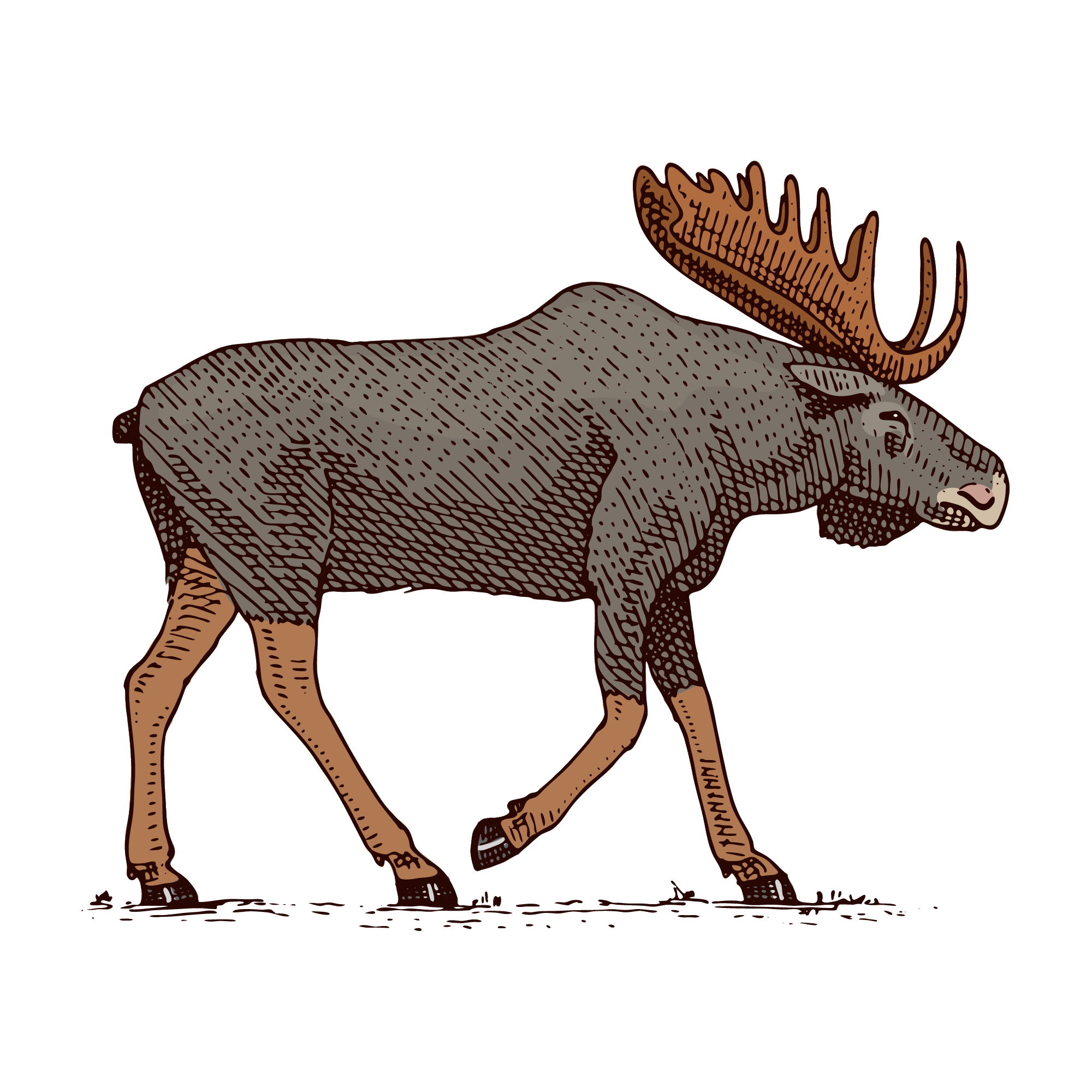Hunting 29 — Hunting watercolour SVG cut file