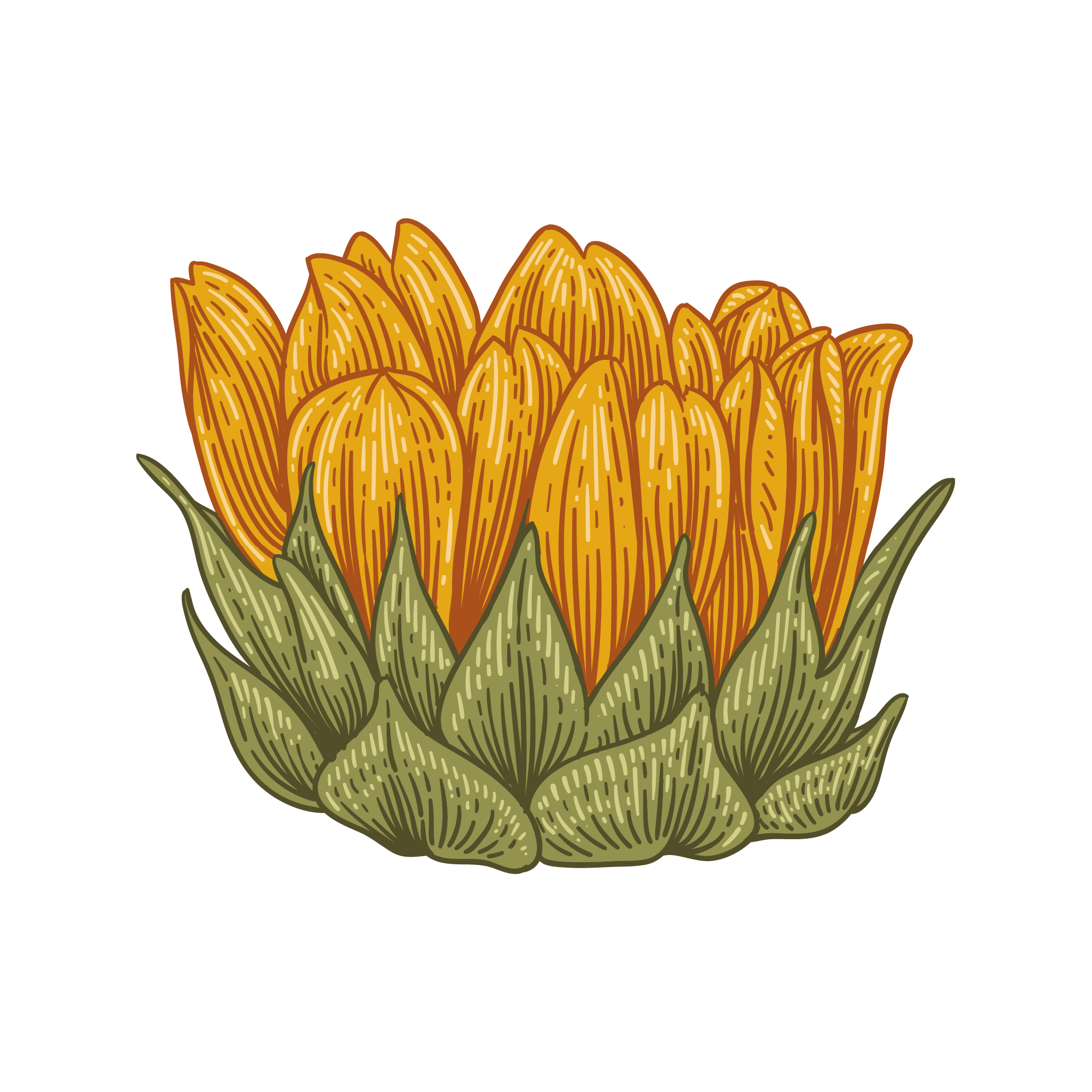 Sunflower 17 — Sunflower watercolour SVG cut file