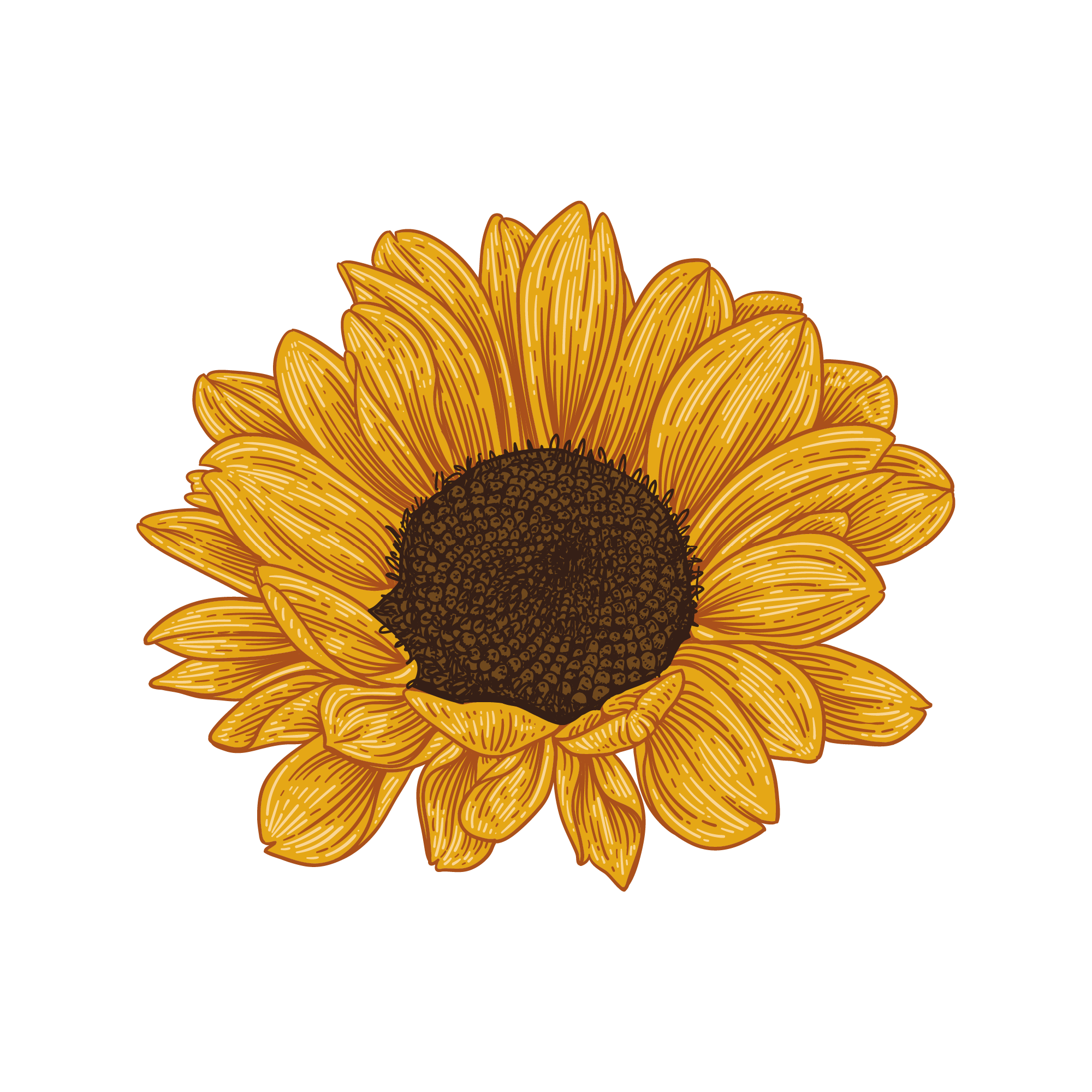 Sunflower 18 — Sunflower watercolour SVG cut file