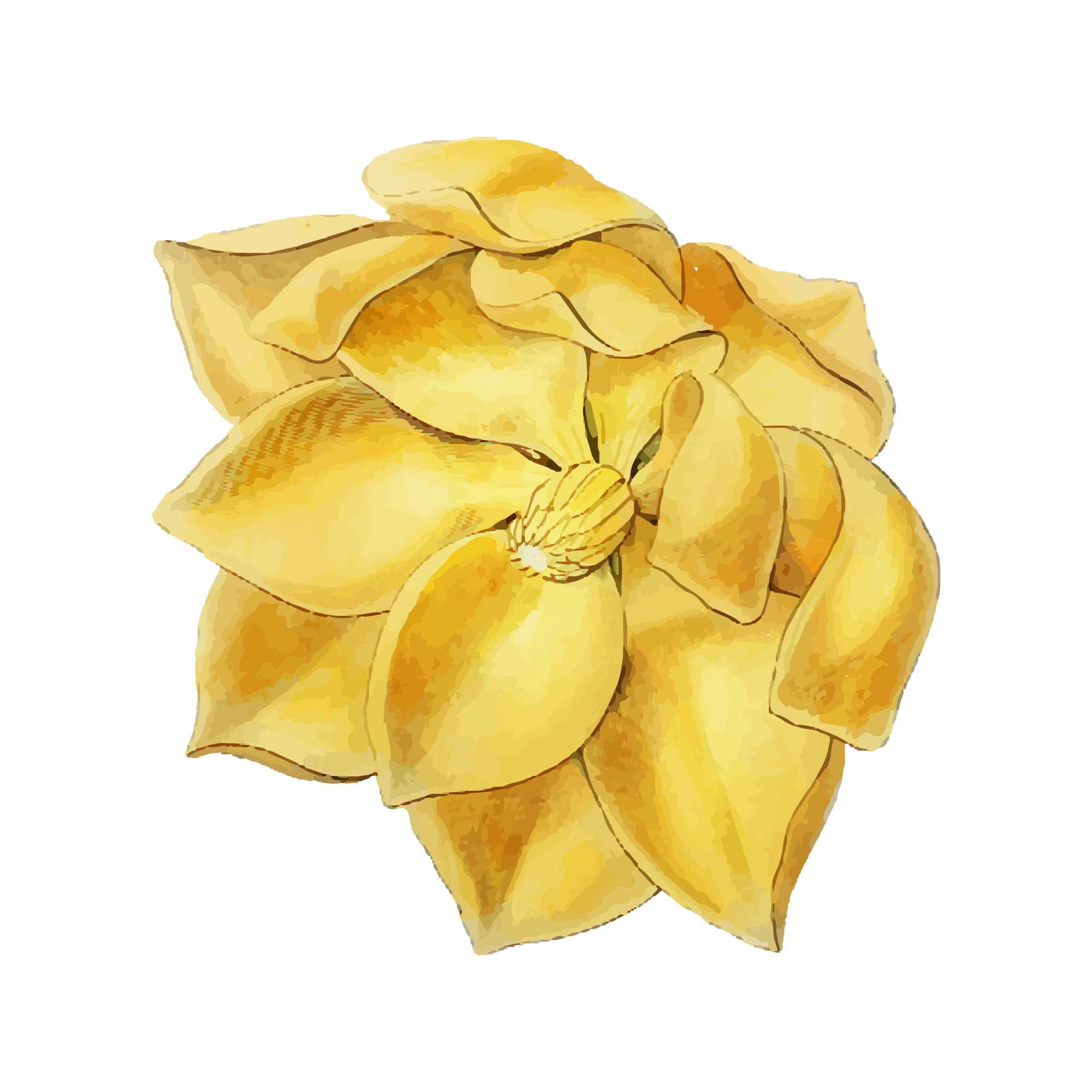 Sunflower 23 — Sunflower watercolour SVG cut file