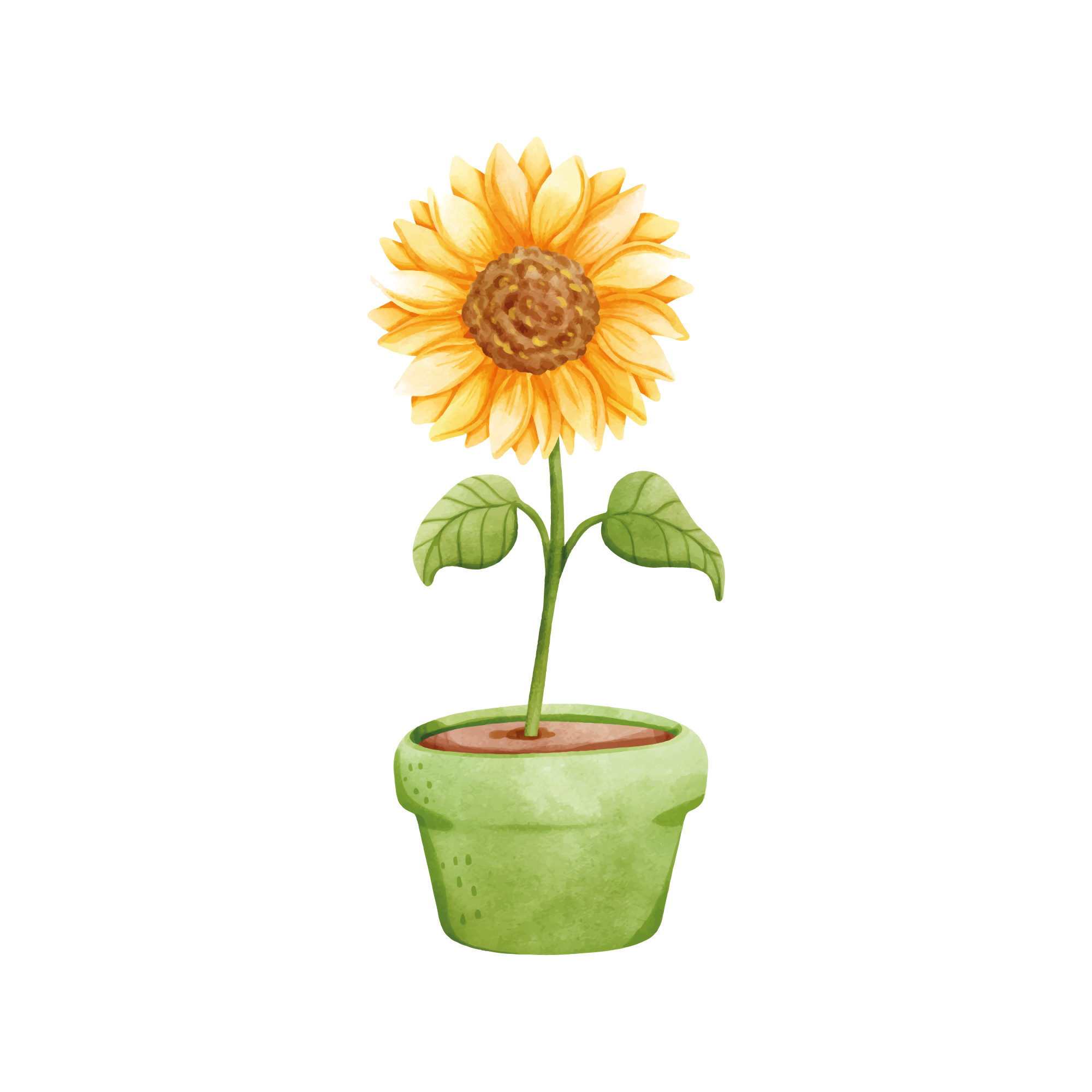Sunflower 27 — Sunflower watercolour SVG cut file