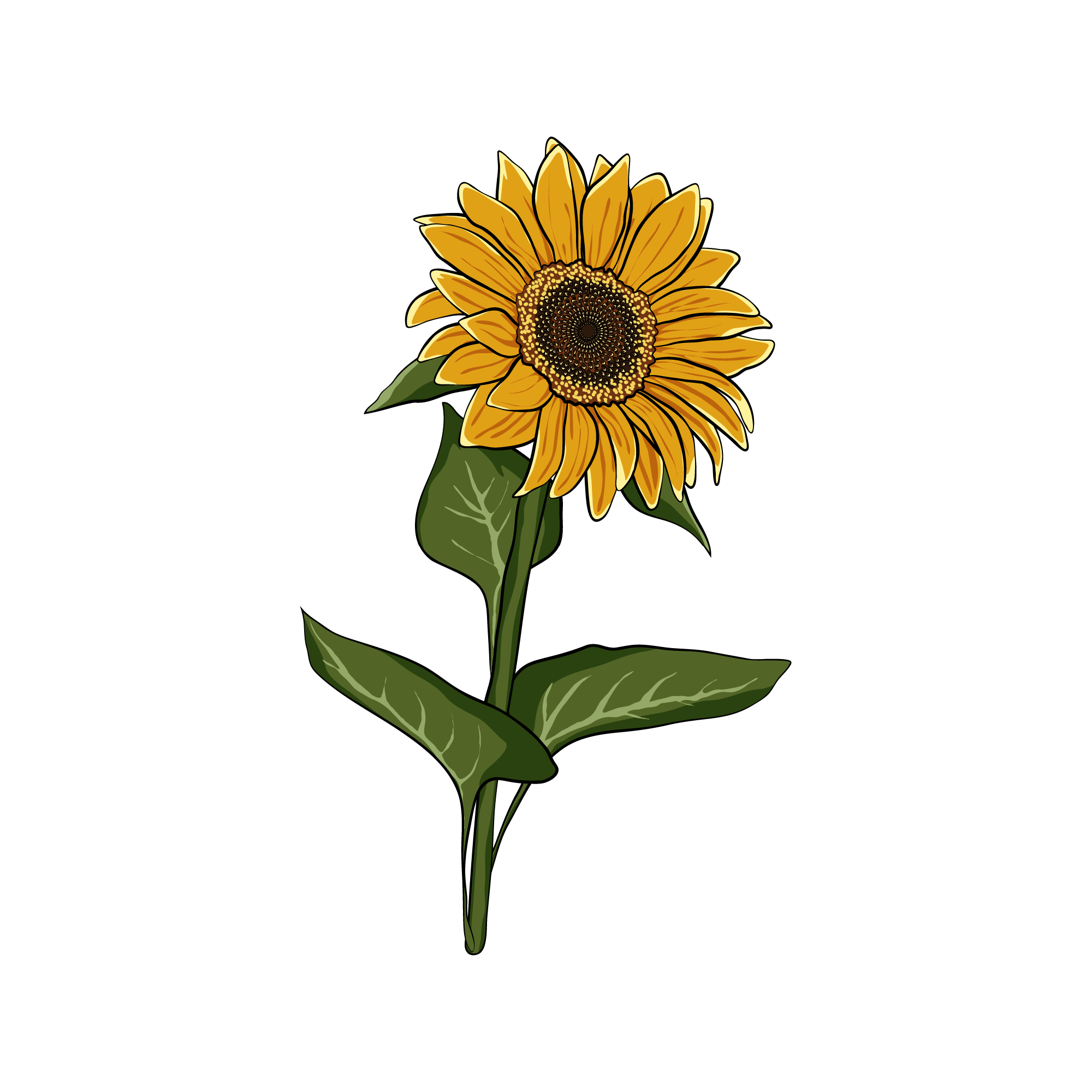Sunflower 31 — Sunflower watercolour SVG cut file