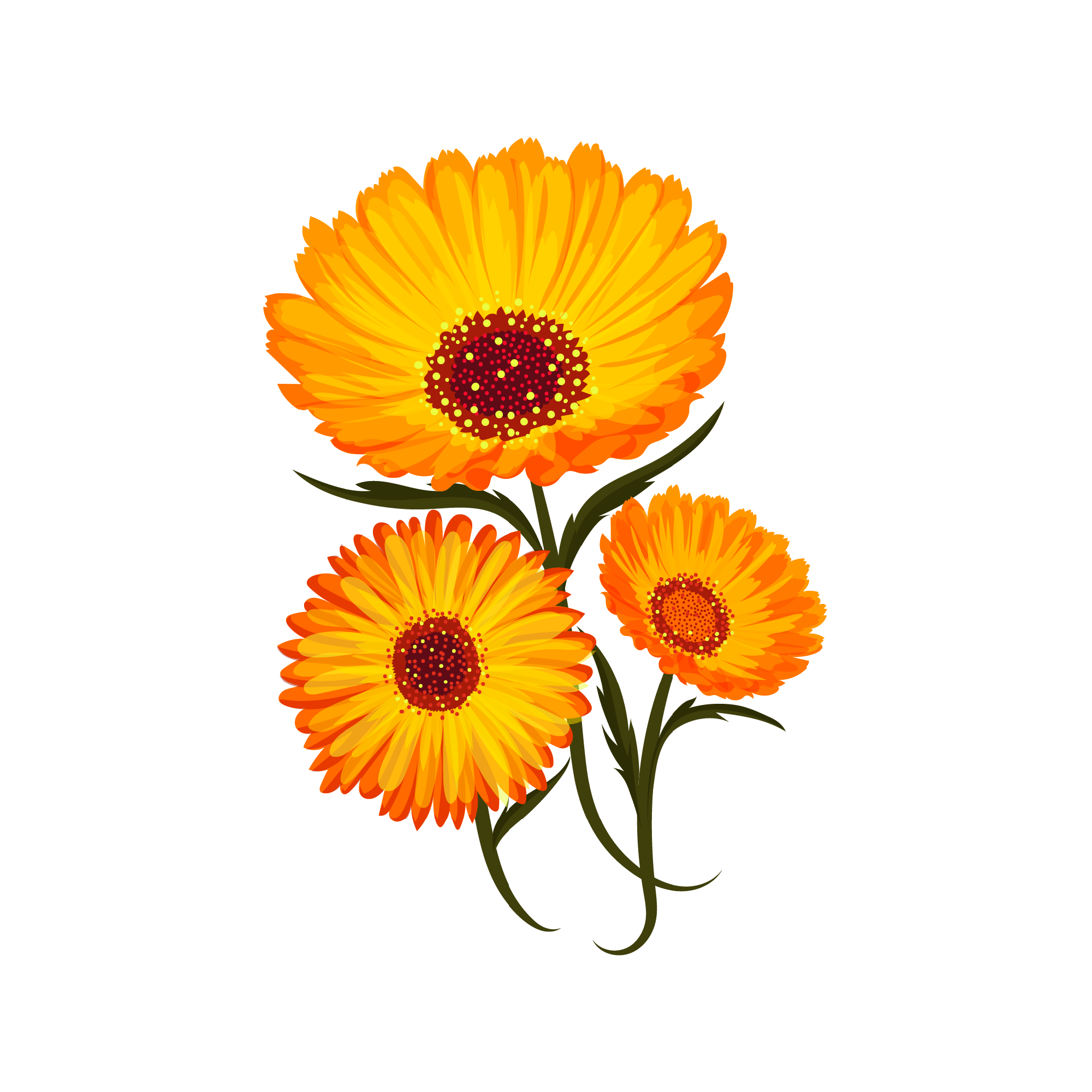 Sunflower 35 — Sunflower watercolour SVG cut file