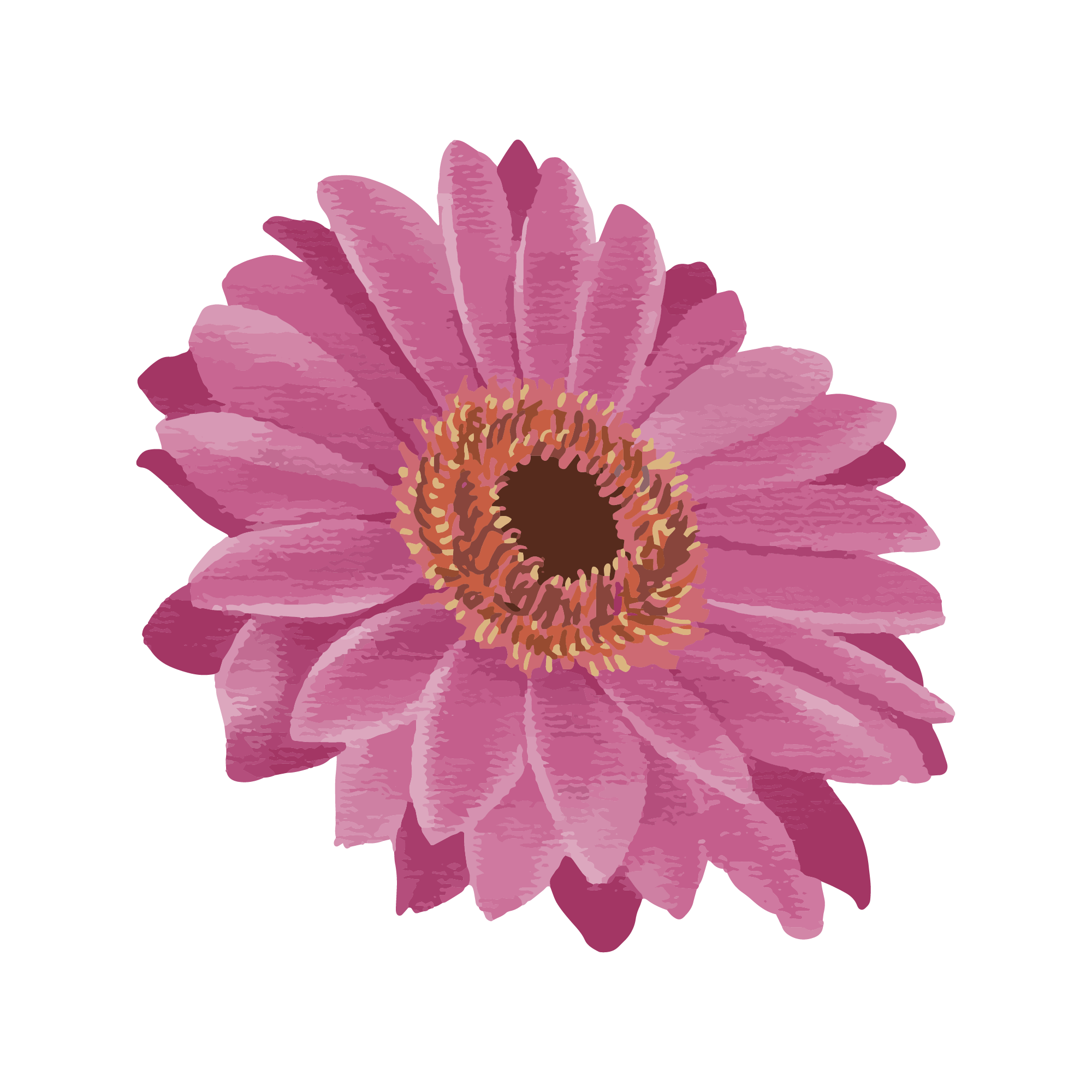 Sunflower 40 — Sunflower watercolour SVG cut file