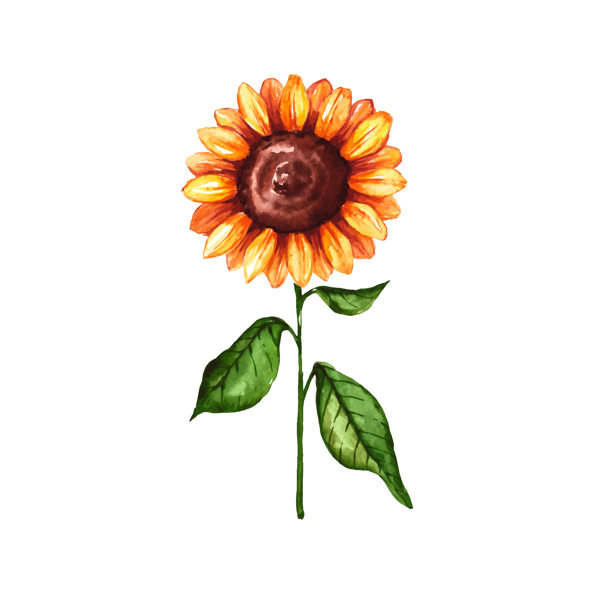 Sunflower 46 — Sunflower watercolour SVG cut file
