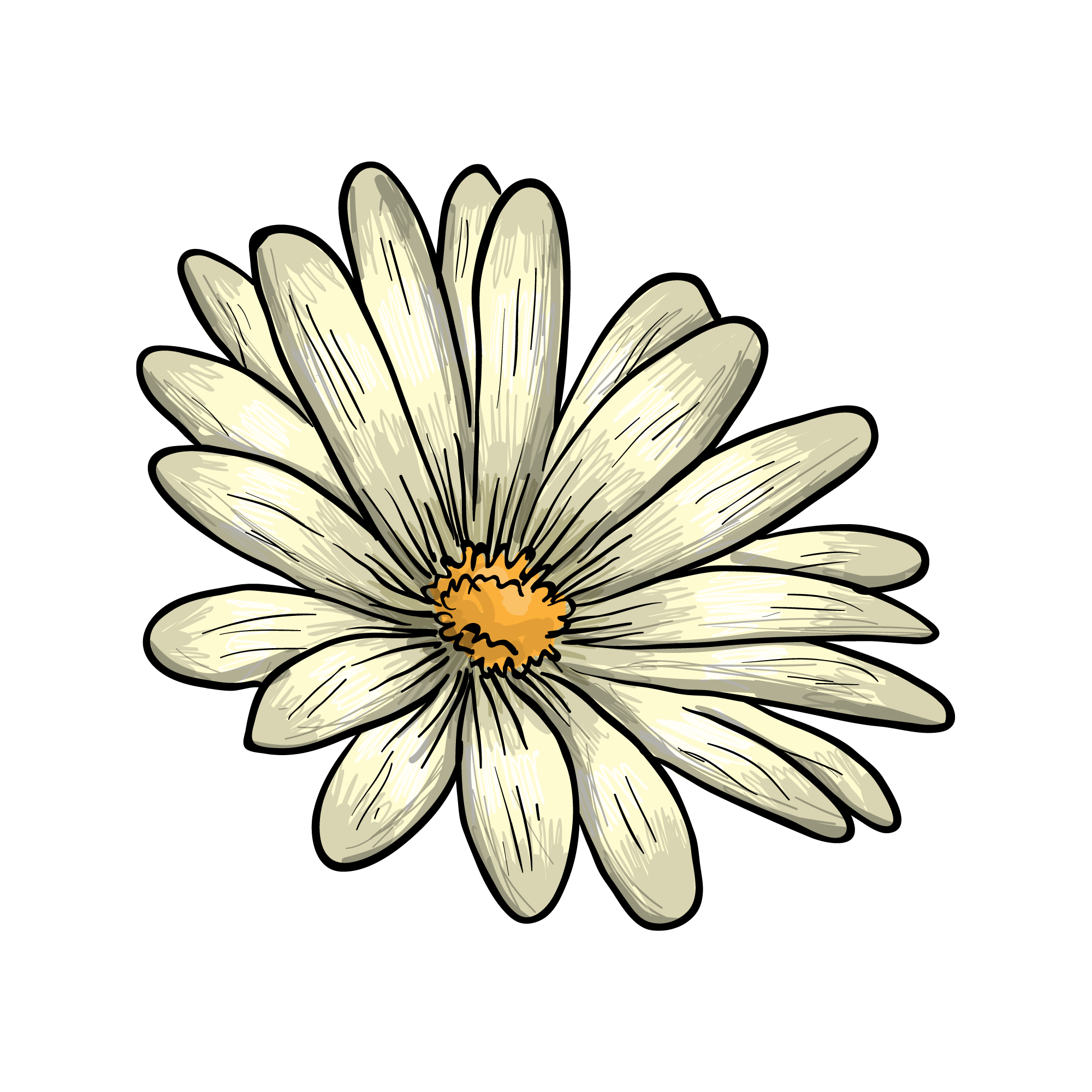Sunflower 47 — Sunflower watercolour SVG cut file