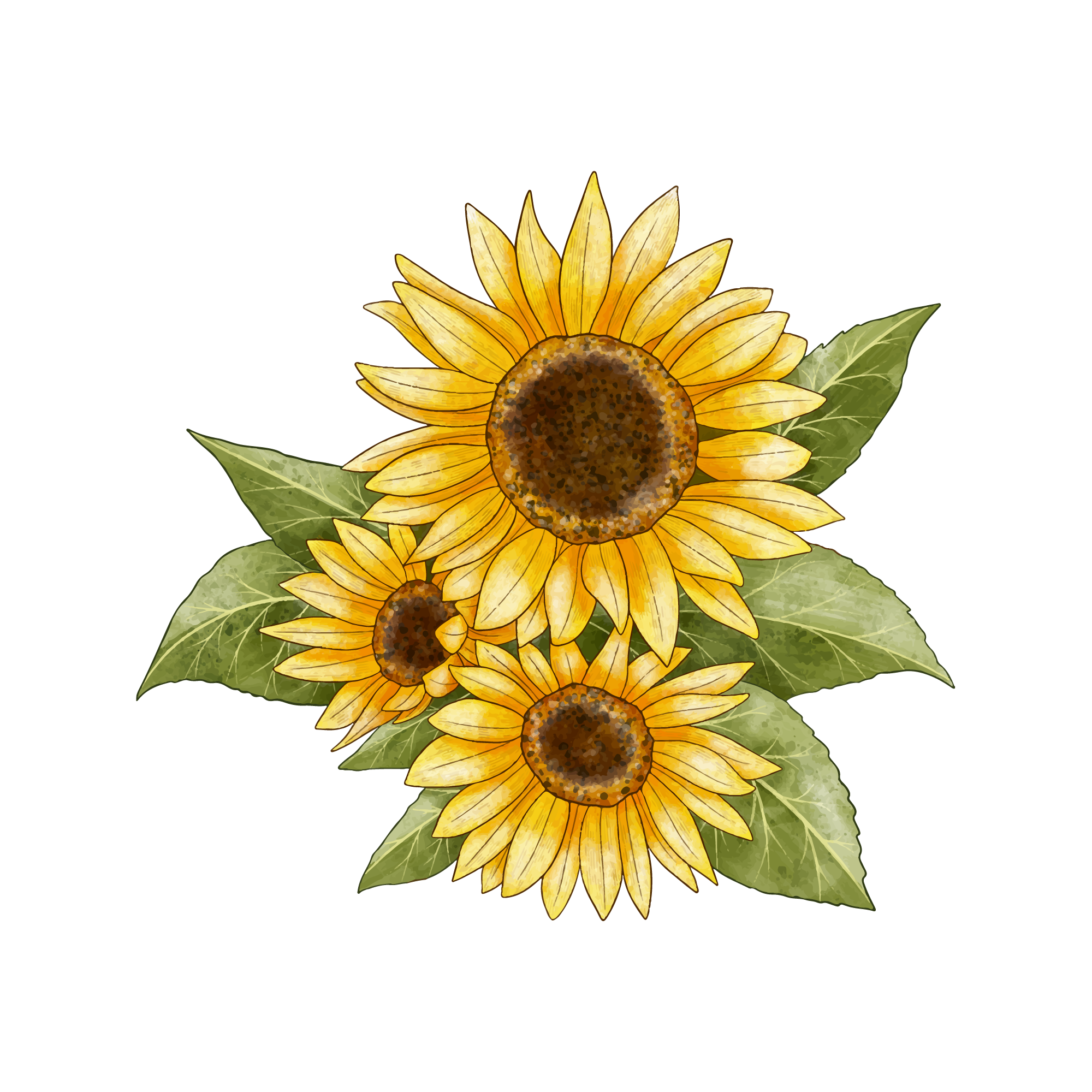 Sunflower 49 — Sunflower watercolour SVG cut file